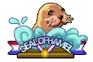 Hamel's Seal